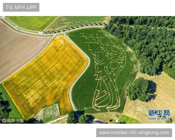 这组的复杂度,让世界杯宛如迷宫游戏 这组的复杂度,让世界杯宛如迷宫游戏